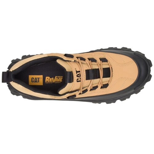 Tenis Caterpillar Café