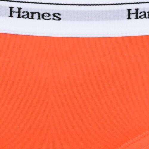 Panty Stretch Elástico Brandeado Estampada Hanes