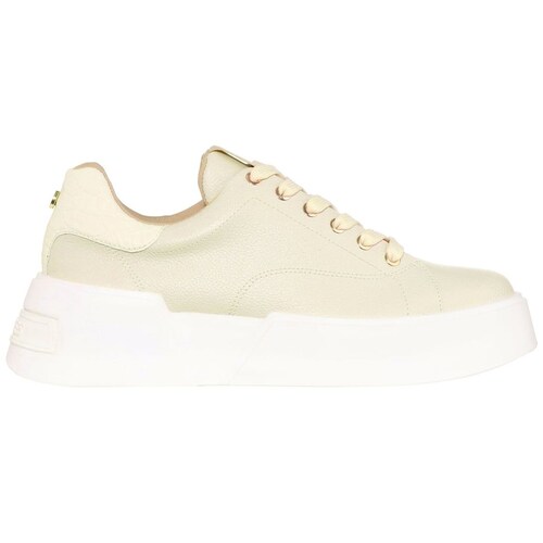 Tenis Beige con Suela de Inyección Westies