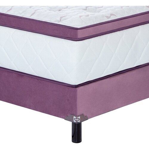 Juego de Colchón Y Box Matrimonial Purple Recovery Sealy