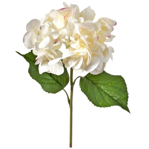 Flor Hortensia Cream Blush Vintage Home