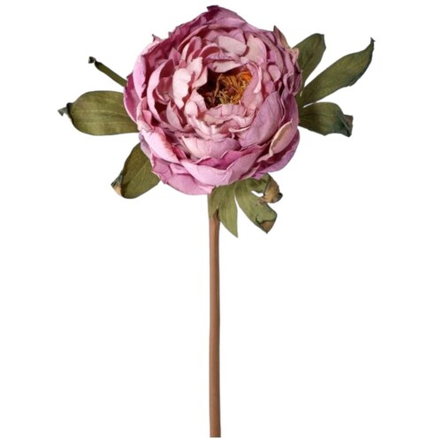 Flor Peonia Lavanda Vintage Home