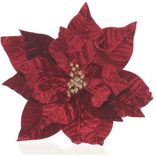 Flor de Nochebuena Color Burgundy