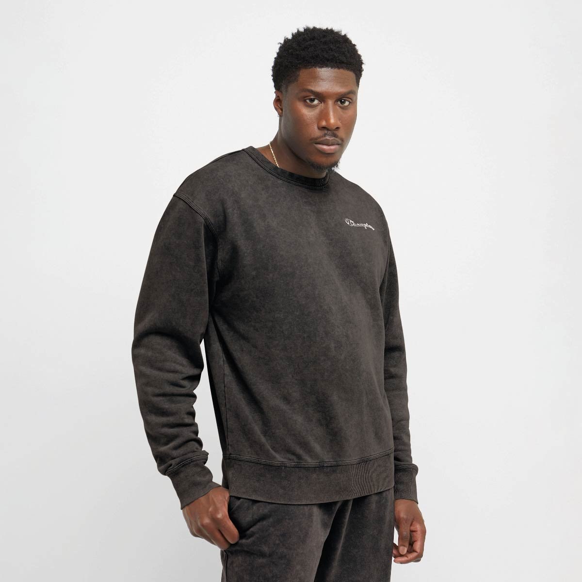 Champion sweatshirt sears sale