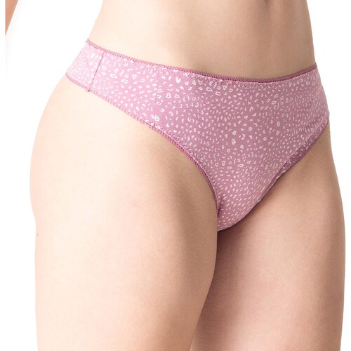 3Pack Braga Amor Tops & Bottoms
