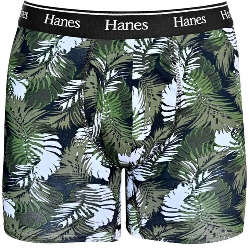 Bóxer Hanes Brief 2 Pack para Hombre