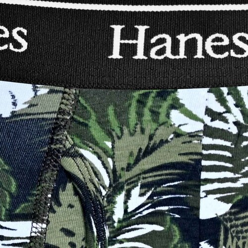 Bóxer Hanes Brief 2 Pack para Hombre