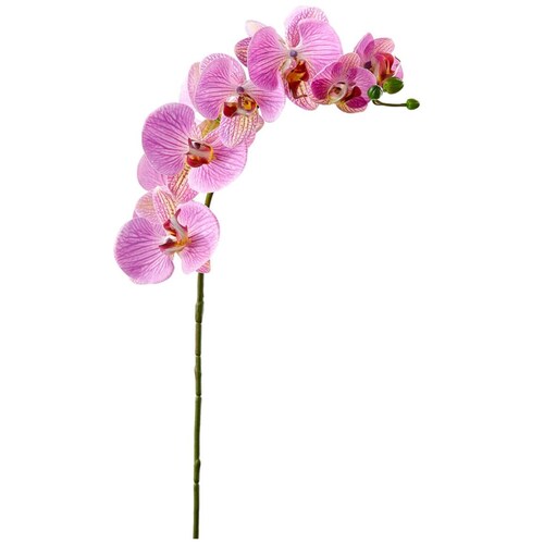 Orquídea Mariposa Rosa 76Cm Allstate