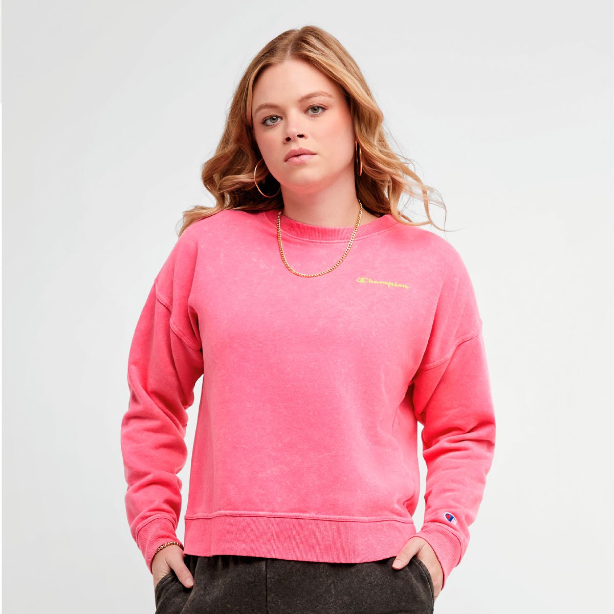 Champion hotsell sweatshirt sears