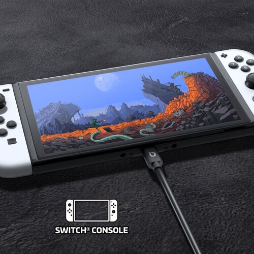 Cargador Rapido 45W Nintendo Switch