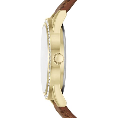 Set de Reloj para Mujer Mass Market Fmdfl2042