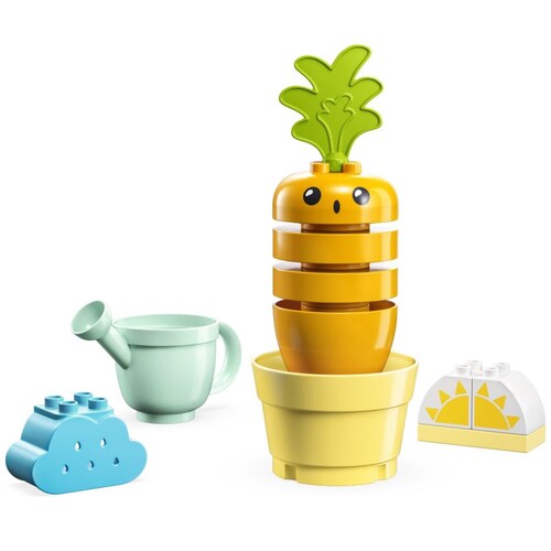 Planta de Zanahoria