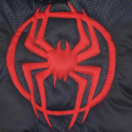 Disfraz Spiderman para Niño Spiderman