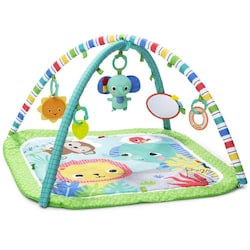 gimnasio-wild-wiggle-bright-starts