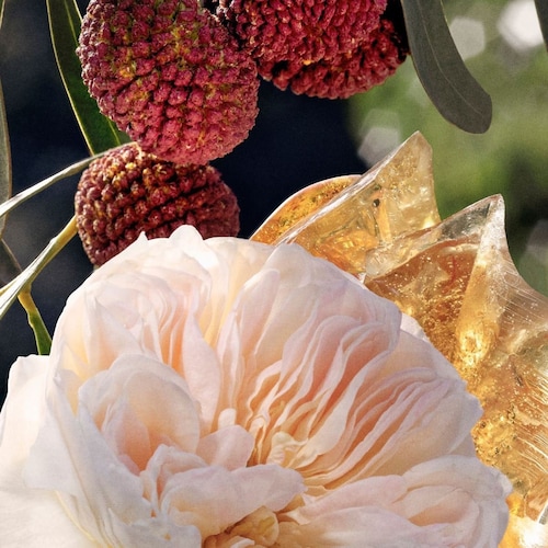 Eau de Parfum Chloé 100 Ml para Mujer