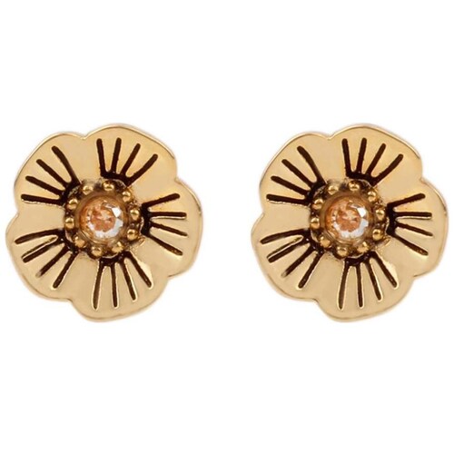 Aretes  Coach Color Dorado Acabado Martillado