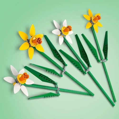 Lego Narcisos