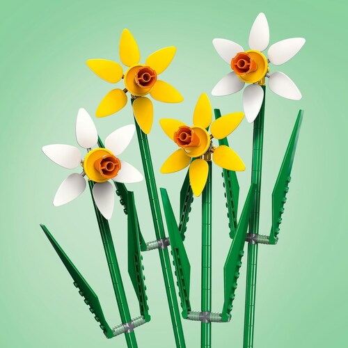Lego Narcisos
