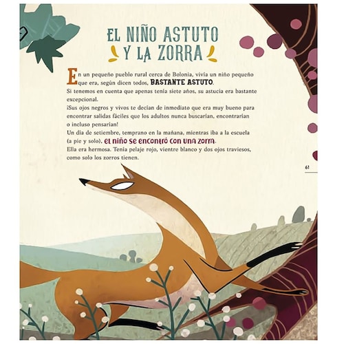 Cuentos Curiosos Y Divertidos