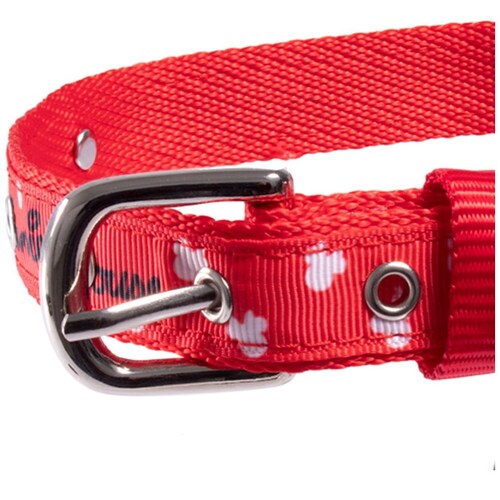 Collar para Perro Chico Unisex Disney Minnie D Ruz