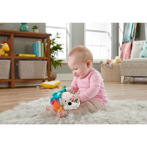 Erizo Estímulos y Juego Fisher-Price