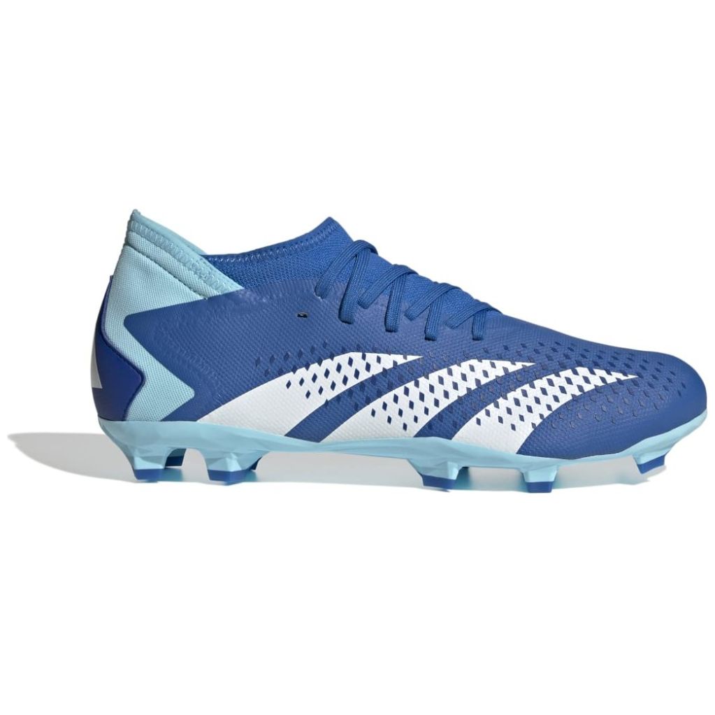 Zapato Sears Soccer Cleats Puma Ultra Zapatos Puma Futbol Sala Wwe