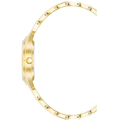 Reloj  Anne Klein  Dorado para Mujer  Ak4060Chgb