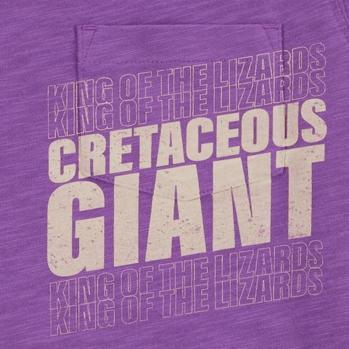 Playera para Niño Manga Corta Tyrannosaurus Morada Carter's
