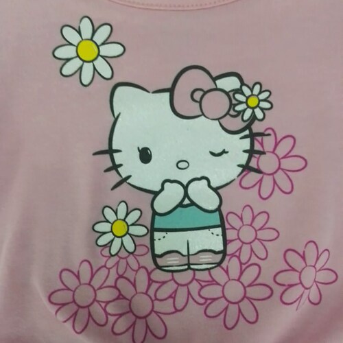 Conjunto para Niña Playera Hello Kitty Y Short Estampado Collage Floral Hello Kitty