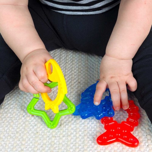 Mordedera Kit 4 Animales de Oceano Baby Einstein