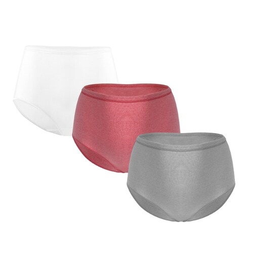Paquete 3 Panty Brief Pure Bliss Color Básic Hanes