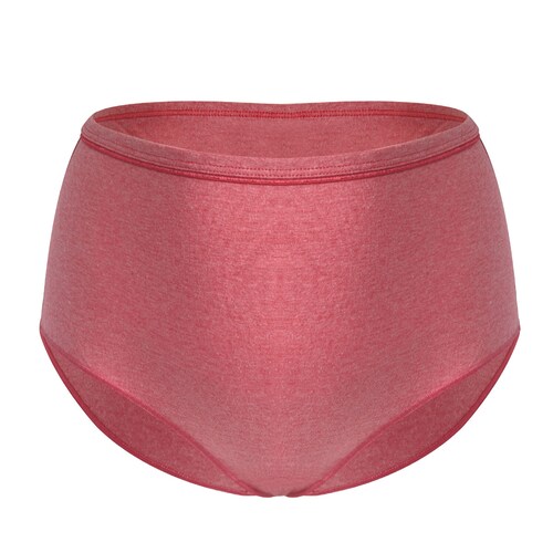 Paquete 3 Panty Brief Pure Bliss Color Básic Hanes