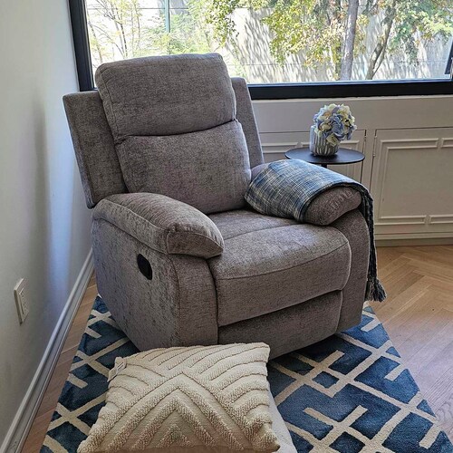 Sillón Reclinable Waterloo Gris Lottus