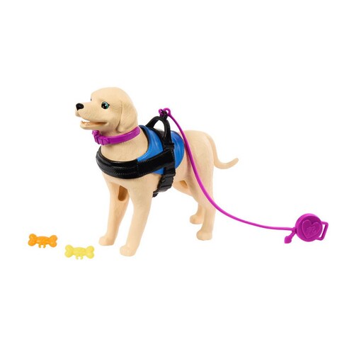 Barbie Set de Juego Muñeca en Silla de Ruedas con Perro Mattel