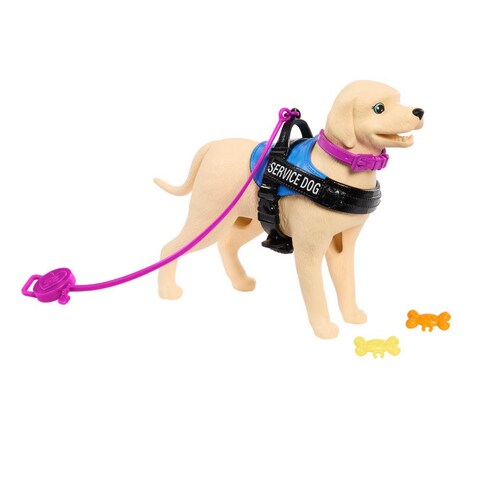 Barbie Set de Juego Muñeca en Silla de Ruedas con Perro Mattel