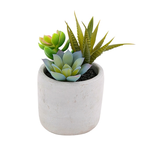 Maceta Suculentas Sam Vintage Home