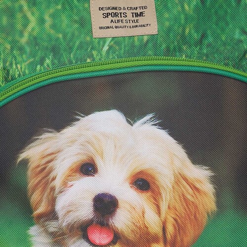 Mochila Perrito Verde Sports Time