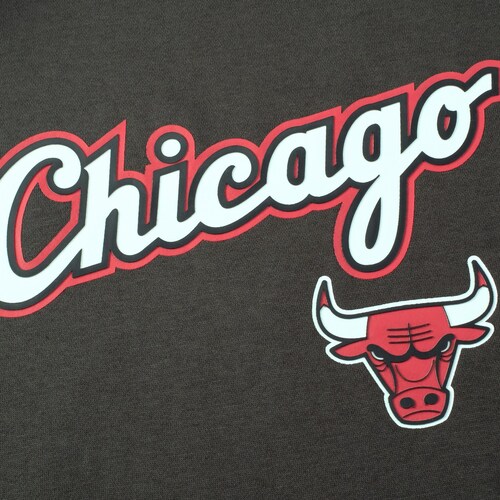 Sudadera Gris Nba Chicago Bulls para Hombre