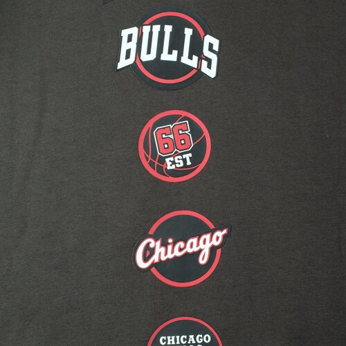 Sudadera Gris Nba Chicago Bulls para Hombre