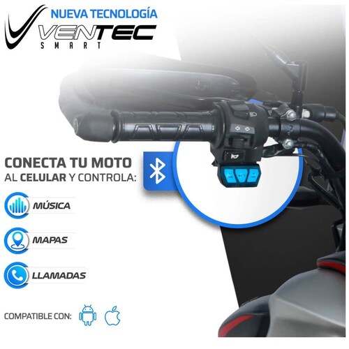 Motocicleta Vento Alpina 300Cc 2025