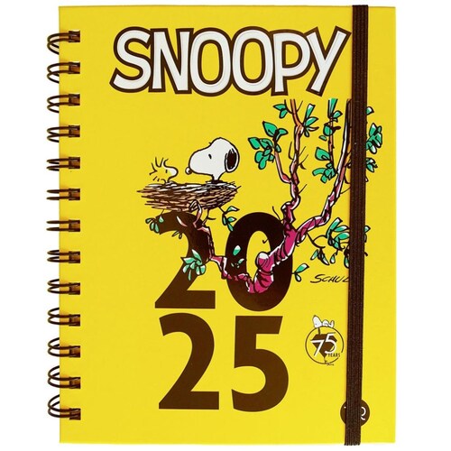 Agenda Snoopy 2025: 1 Vr Editoras
