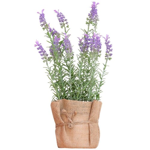 Planta Decorativa Fatih Gaf Collection