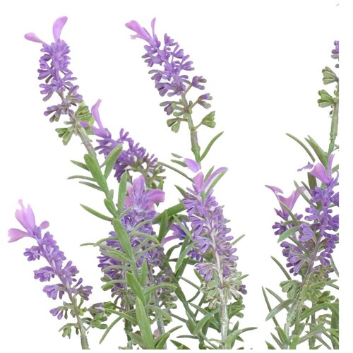 Planta Decorativa Fatih Gaf Collection