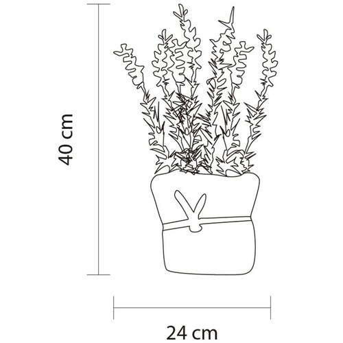 Planta Decorativa Fatih Gaf Collection