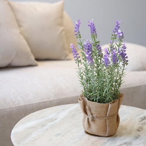 Planta Decorativa Fatih Gaf Collection