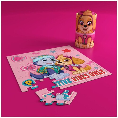 Duo de Rompecabezas Paw Patrol de Tubo Spin Master