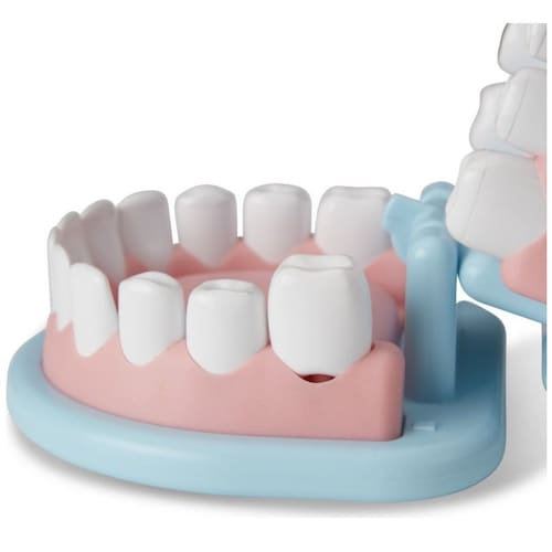 Melissa & Doug Kit de Juego de Dentista Spin Master