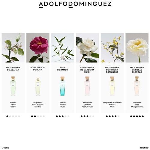 Fragancia Adolfo Domínguez Agua de Bambú para Mujer