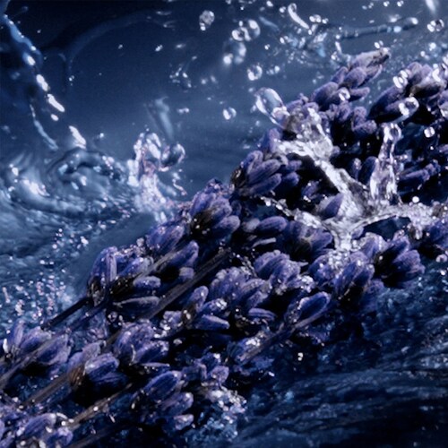 Fragancia Yves Saint Laurent Y Elixir 60 Ml para Hombre