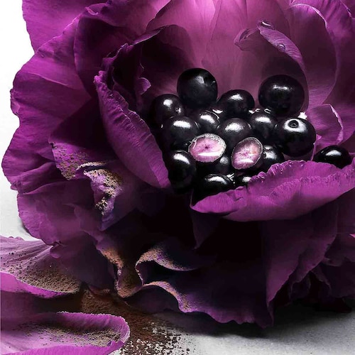 Perfume Lancome la Nuit Tresor 100 Ml para Mujer